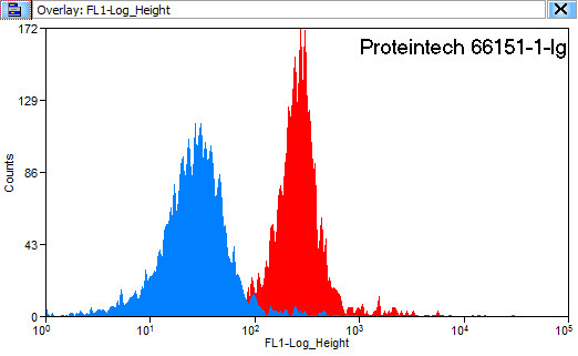 HBE1 Antibody in Flow Cytometry (Flow)