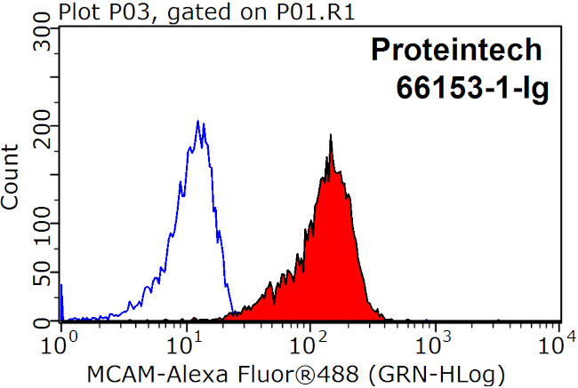 CD146/MCAM Antibody in Flow Cytometry (Flow)