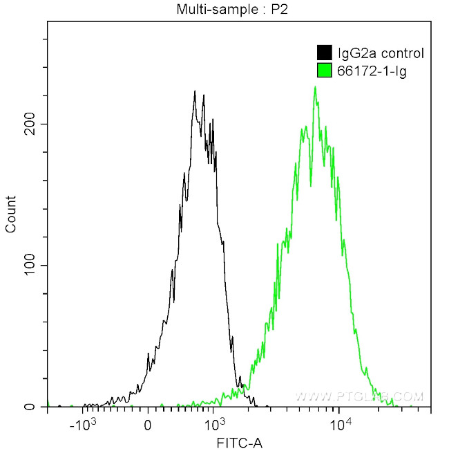 MSH6 Antibody in Flow Cytometry (Flow)