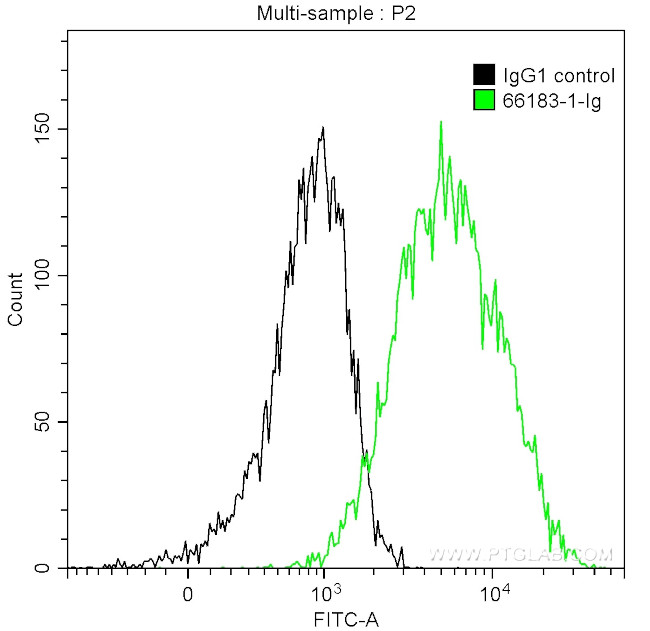 HSP70 Antibody in Flow Cytometry (Flow)