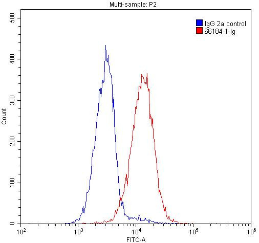 P62/SQSTM1 Antibody in Flow Cytometry (Flow)