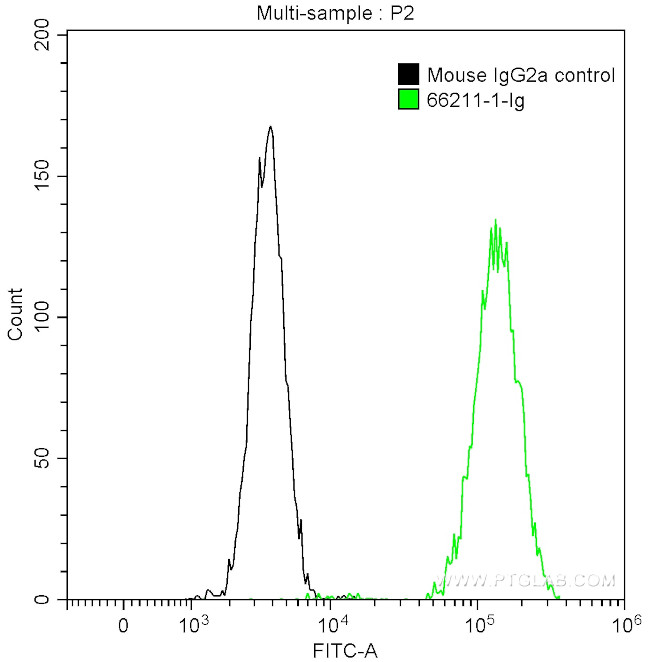 CD13 Antibody in Flow Cytometry (Flow)