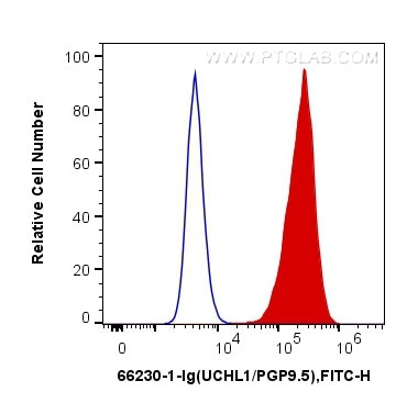 UCHL1 Antibody in Flow Cytometry (Flow)