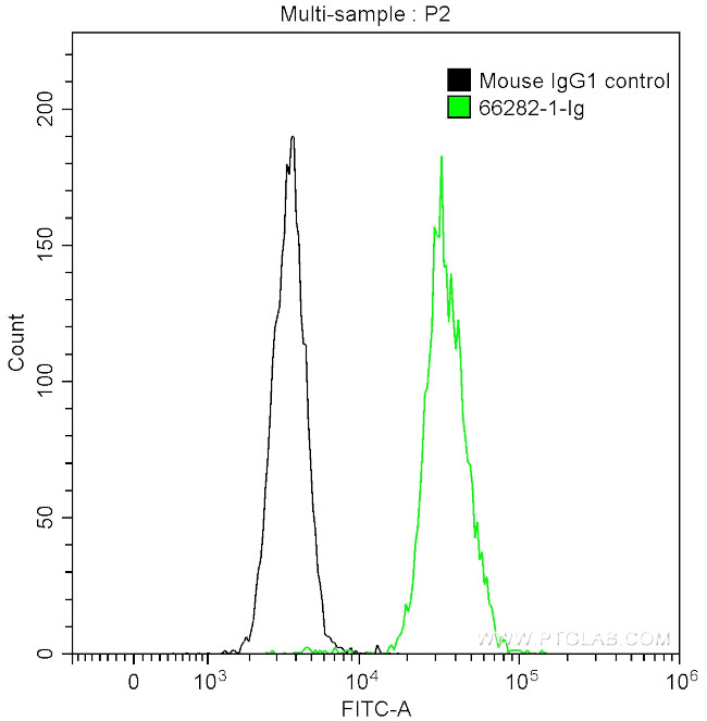 CD200 Antibody in Flow Cytometry (Flow)