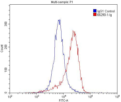 GLUT1 Antibody in Flow Cytometry (Flow)