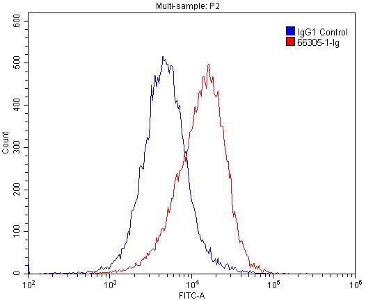 Vinculin Antibody in Flow Cytometry (Flow)