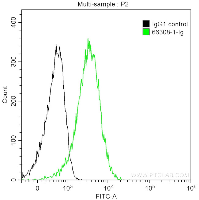 CD27 Antibody in Flow Cytometry (Flow)