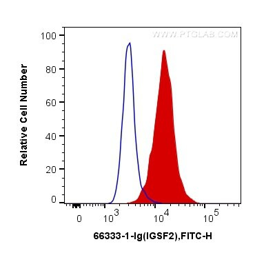 IGSF2 Antibody in Flow Cytometry (Flow)