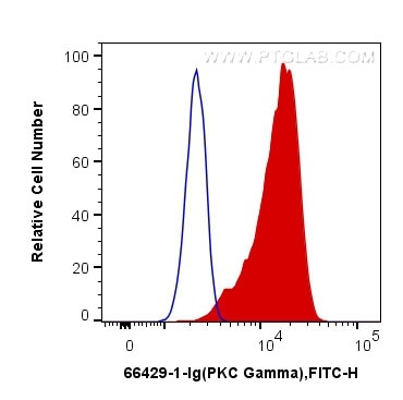 PKC gamma Antibody in Flow Cytometry (Flow)