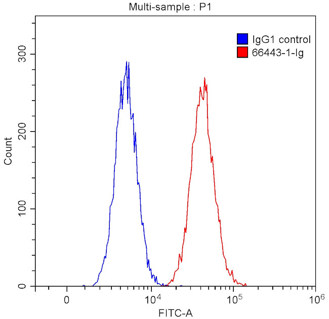 CD147 Antibody in Flow Cytometry (Flow)