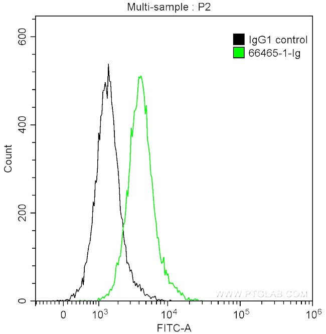 SLP76 Antibody in Flow Cytometry (Flow)