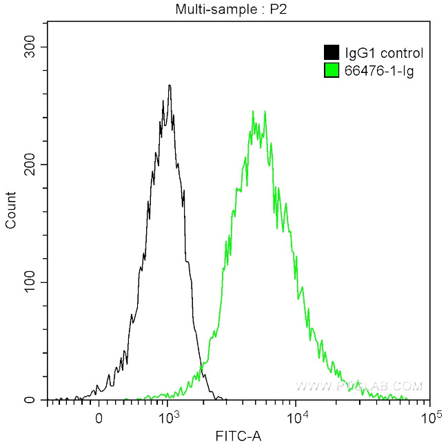 EZH2 Antibody in Flow Cytometry (Flow)