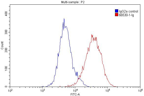 HLA-E Antibody in Flow Cytometry (Flow)