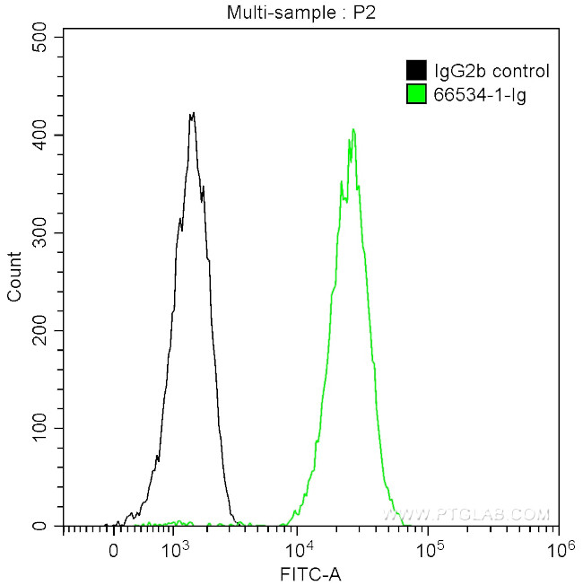 Cathepsin D Antibody in Flow Cytometry (Flow)