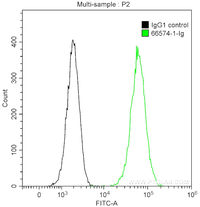 GRP78/BIP Antibody in Flow Cytometry (Flow)