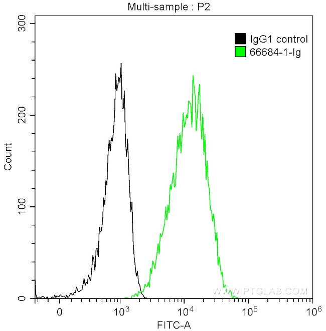 Cytokeratin 13 Antibody in Flow Cytometry (Flow)