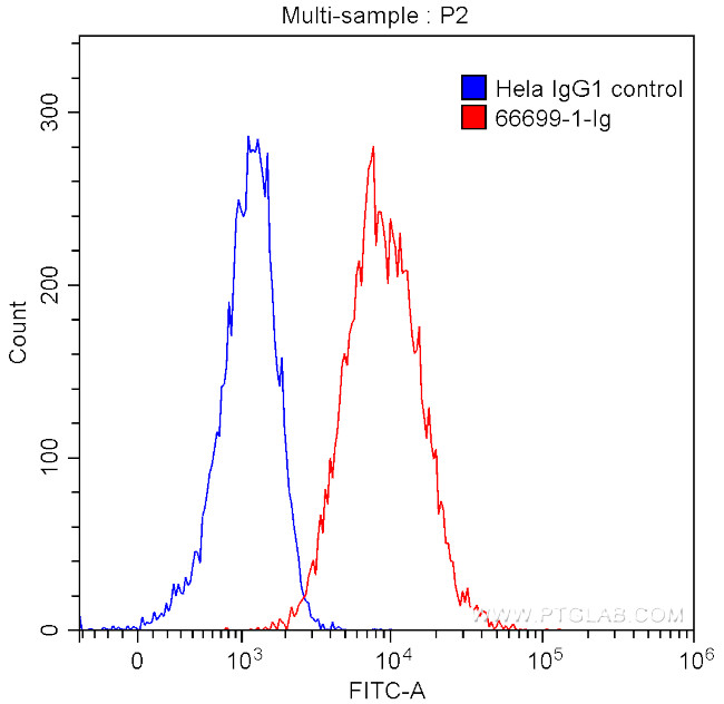 ACE2 Antibody in Flow Cytometry (Flow)