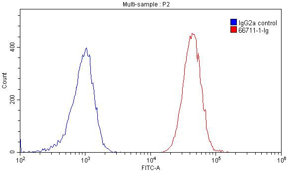 CD57 Antibody in Flow Cytometry (Flow)