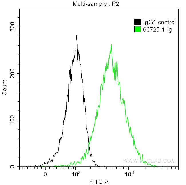 TYMS Antibody in Flow Cytometry (Flow)