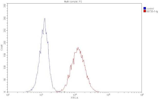 Dystroglycan Antibody in Flow Cytometry (Flow)