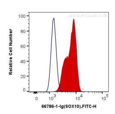 SOX10 Antibody in Flow Cytometry (Flow)