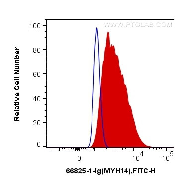 MYH14 Antibody in Flow Cytometry (Flow)