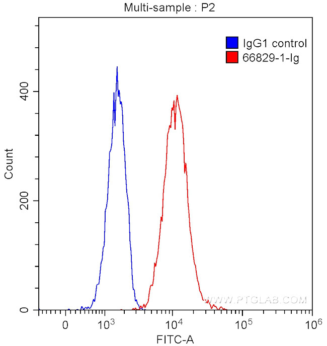 IL-12RB1 Antibody in Flow Cytometry (Flow)