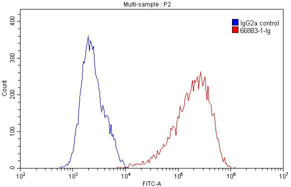 CD98/SLC3A2 Antibody in Flow Cytometry (Flow)