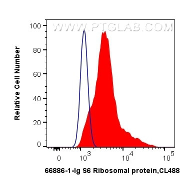 RPS6 Antibody in Flow Cytometry (Flow)