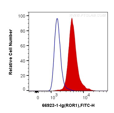 ROR1 Antibody in Flow Cytometry (Flow)