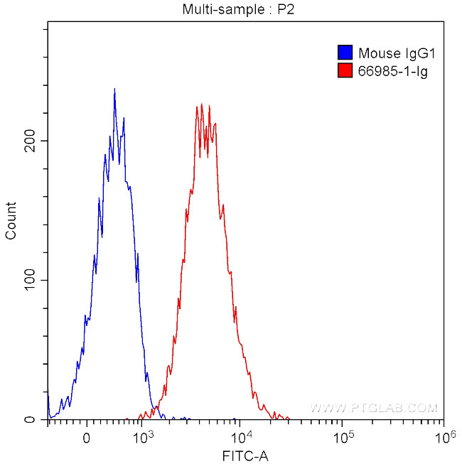 FBL Antibody in Flow Cytometry (Flow)