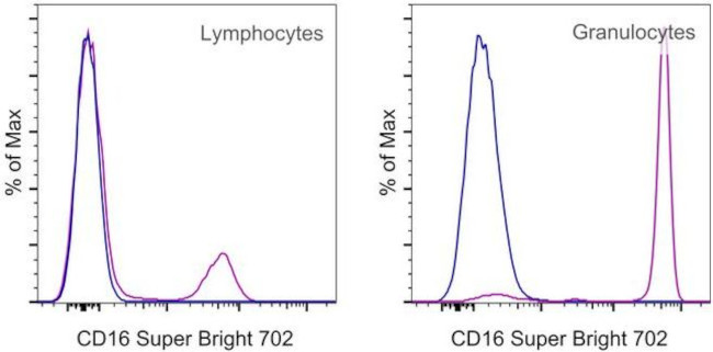 CD16 Antibody in Flow Cytometry (Flow)