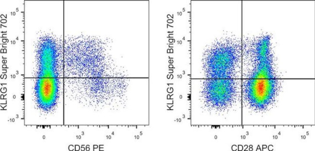 KLRG1 Antibody in Flow Cytometry (Flow)