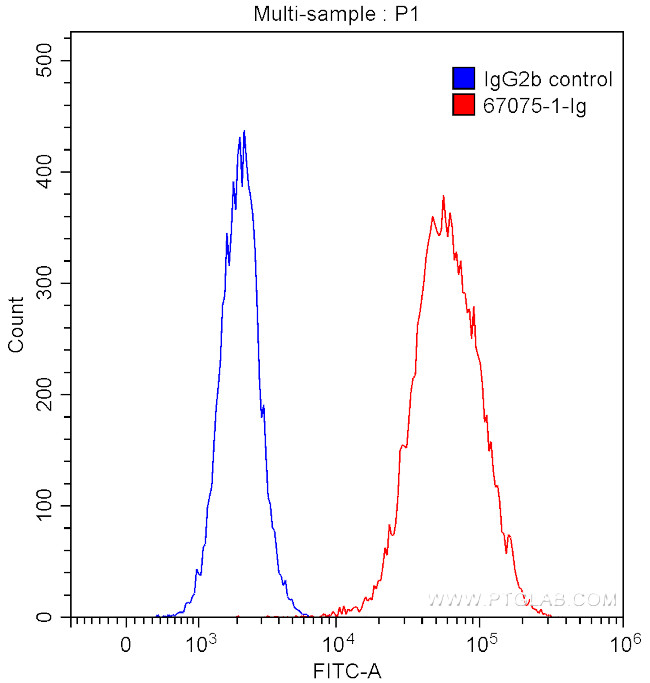 Endoglin/CD105 Antibody in Flow Cytometry (Flow)