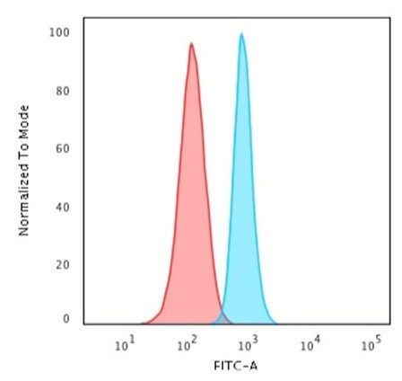 Spectrin beta III (SPTBN2) Antibody in Flow Cytometry (Flow)