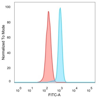 Serum Response Element Binding Transcription Factor (SRF) Antibody in Flow Cytometry (Flow)