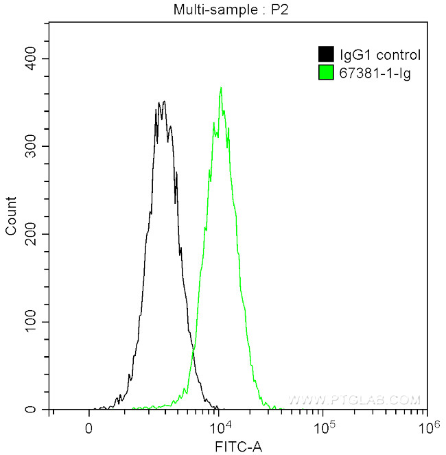 TSG101 Antibody in Flow Cytometry (Flow)