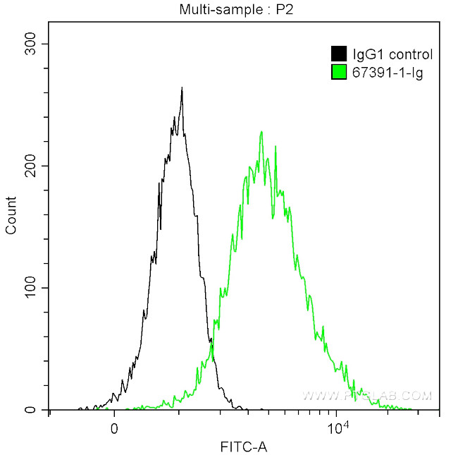 FGL1 Antibody in Flow Cytometry (Flow)