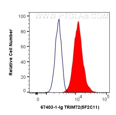 TRIM72 Antibody in Flow Cytometry (Flow)