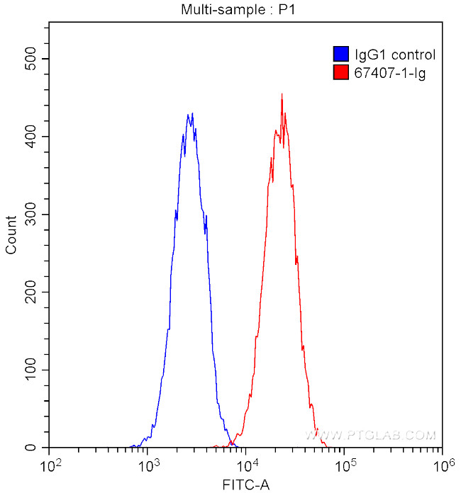 VEGFR2 Antibody in Flow Cytometry (Flow)