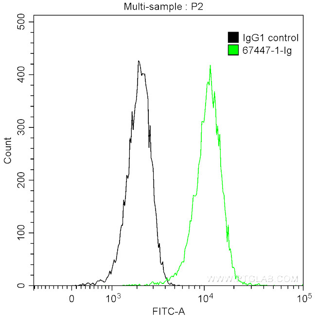 c-MYC Antibody in Flow Cytometry (Flow)