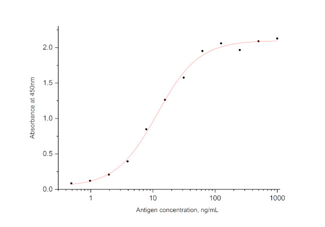 SARS-CoV-2 Nucleocapsid Phosphoprotein Antibody in ELISA (ELISA)