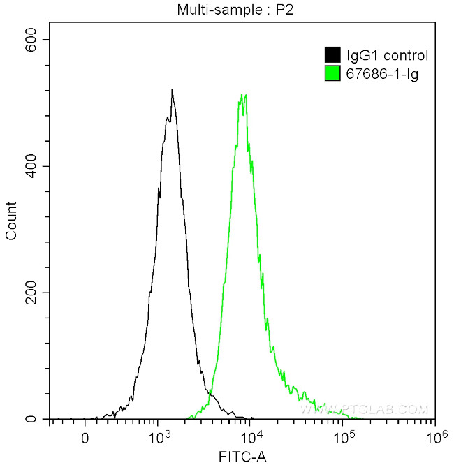 cyclin B1 Antibody in Flow Cytometry (Flow)