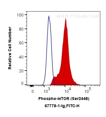 Phospho-mTOR (Ser2448) Antibody in Flow Cytometry (Flow)