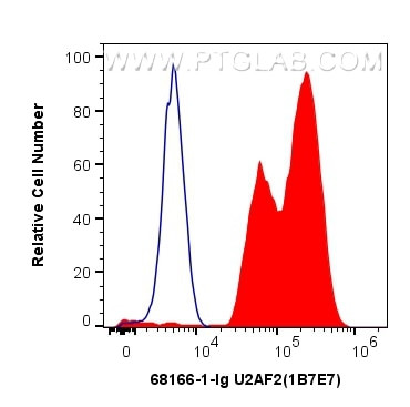 U2AF2 Antibody in Flow Cytometry (Flow)