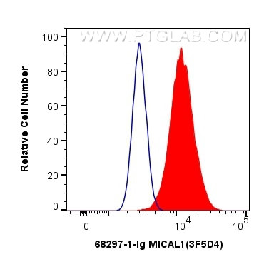 MICAL1 Antibody in Flow Cytometry (Flow)