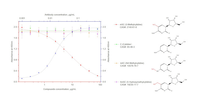 m5C Antibody in ELISA (ELISA)