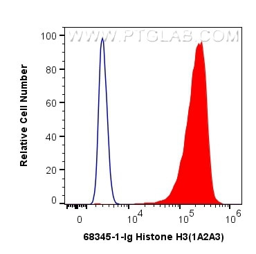 Histone H3 Antibody in Flow Cytometry (Flow)