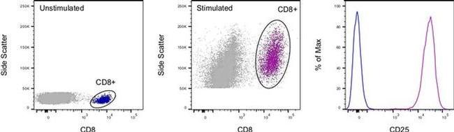 CD25 Antibody