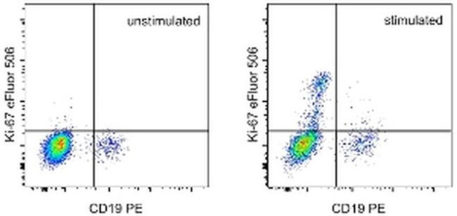 Ki-67 Antibody in Flow Cytometry (Flow)